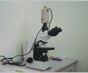 日本奥林巴斯显微镜 